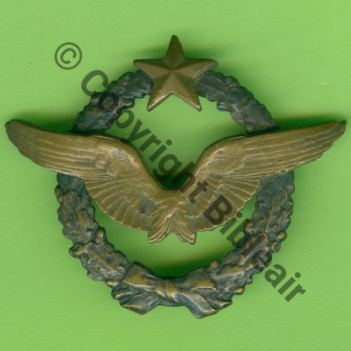 BREVET PILOTE  WW1 B17353 SM 2Anneaux Dos lisse Src.Y.GENTY 217Eur08.24 